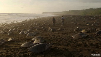 Spectacular Earth (2022)