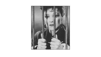 Зет і два нулі (1985)