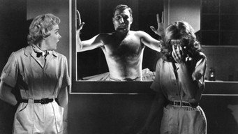 Still 8 from Night of the Blood Beast