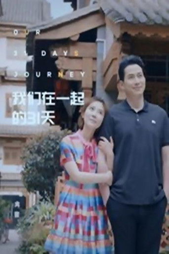 我们在一起的31天 poster