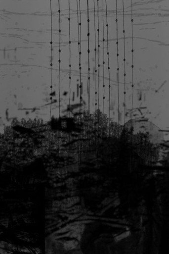Ocean's Skeleton (2025)