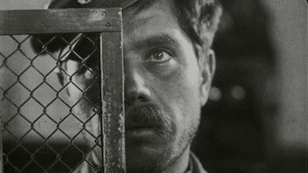 Pigs Will Be Pigs (1931)