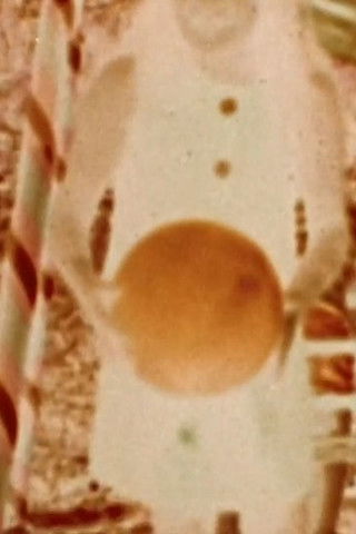 The Weir-Falcon Saga (1970)