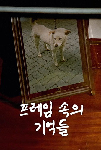 The Memories in My Frame (1994)