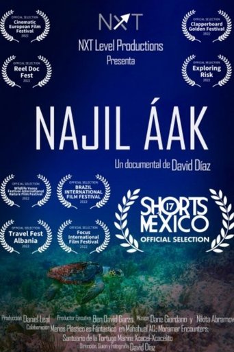 Najil Aak poster
