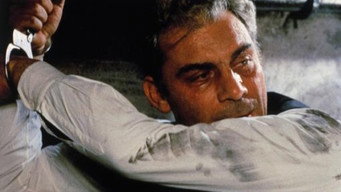 The Assassination (1972)