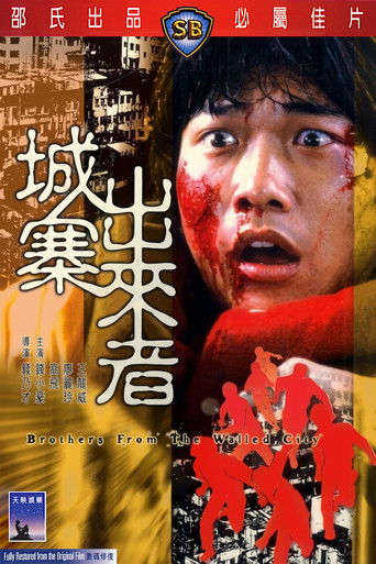 城寨出來者 — Film en streaming