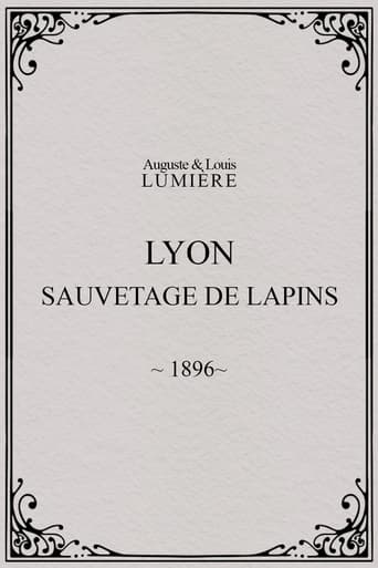 Lyon : sauvetage de lapins