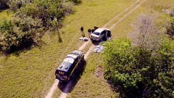 Cena de Contrabando Temperado