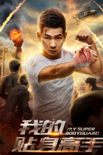 我的贴身高手 poster