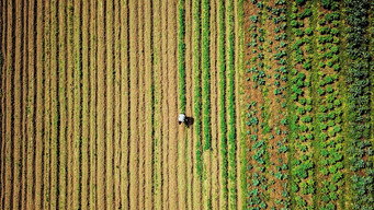 #7 Our Soil is Our Heritage