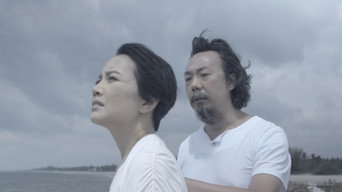 Turbulence media image