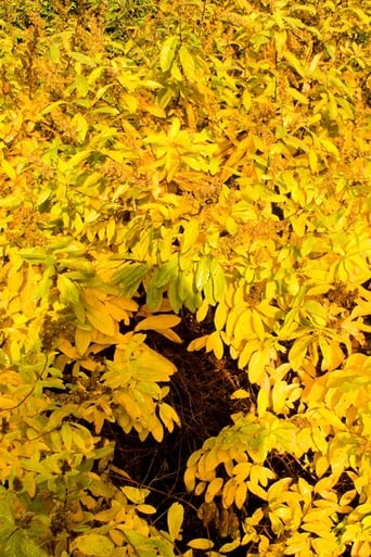 Mother Earth Breathing: The Garden poster