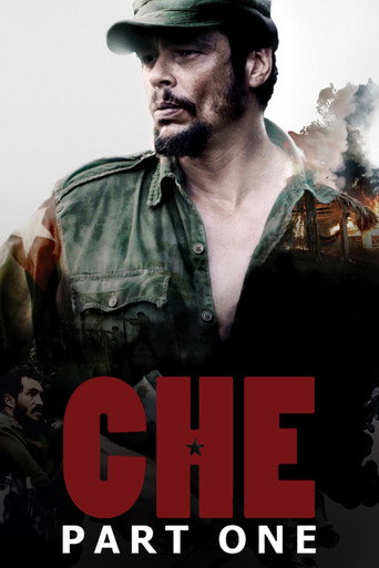 Che: Part One