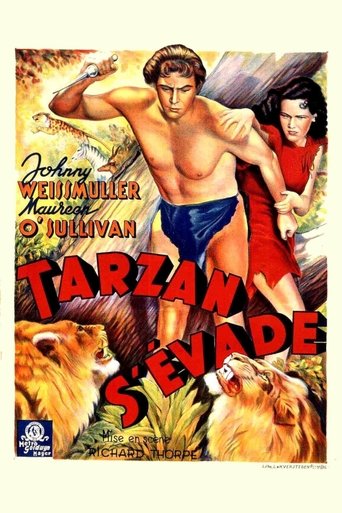 Tarzan s'&eacute;vade (1936)