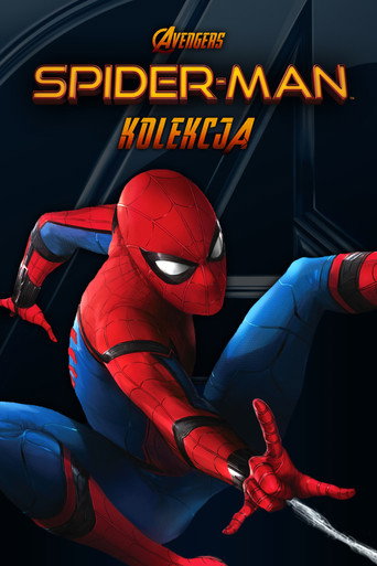 Spider-Man (Avengers) - Kolekcja
