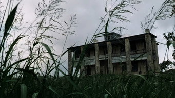 #18 Техаська різанина бензопилою