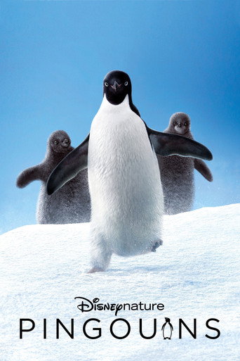 Affiche de Pingouins