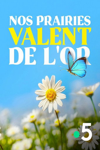 Nos prairies valent de l'or (2020)