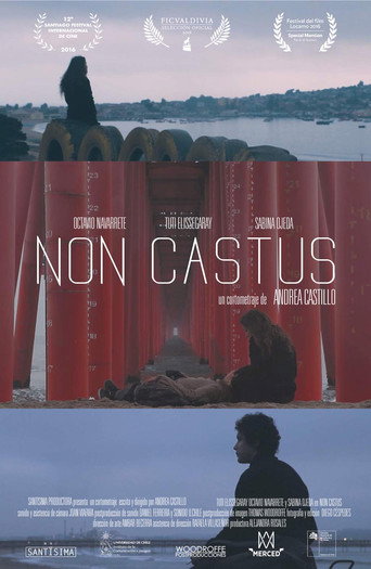 Non Castus