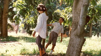 Summer Thefts (1988)
