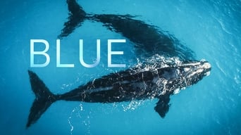 Blue (2017)