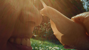My Pet and Me (2022)