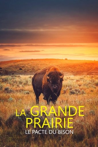 La grande prairie, le pacte du bison (2025)
