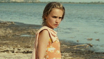 The Yellow Island (2016)