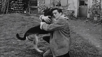 #10 Le chien