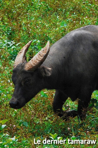 Le dernier tamaraw (2019)