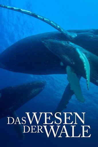 Das Wesen der Wale