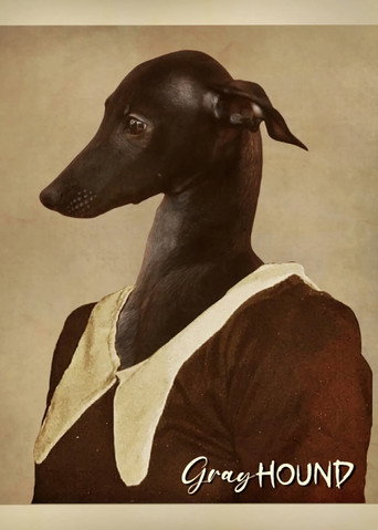 Gray Hound (2026)
