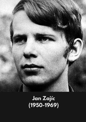 Sami proti zlu: Jan Zajíc - pochodeň č. 2 (2013年)のポスター画像 - FindKey