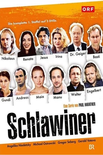 Poster of Schlawiner