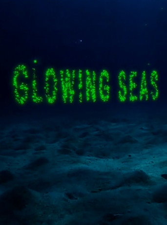 Póster de Glowing Seas - Diving at Hatshepsut's Harbour