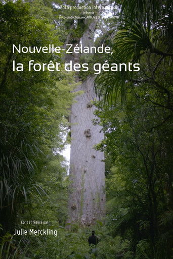 Nouvelle-Z&eacute;lande, la for&ecirc;t des g&eacute;ants