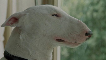 #4 Baxter