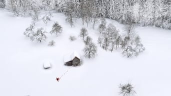 #1 Полярне коло
