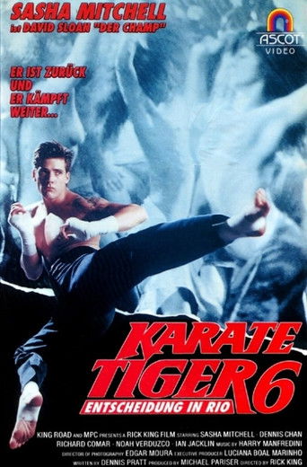 Karate Tiger 6 - Entscheidung in Rio (1992) - Film | Action, Thriller