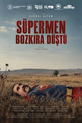 Superman Fell to the Steppe poster