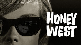 Honey West (1965-1966)