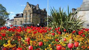 Britain in Bloom (2018- )