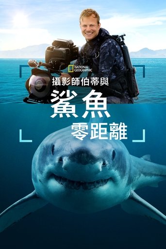 摄影师贝尔蒂与鲨鱼零距离