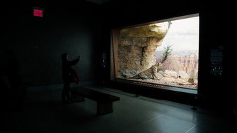 Curiosity and Control (2018)