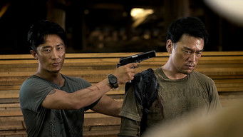 Galeria 4 - Extraordinary Mission