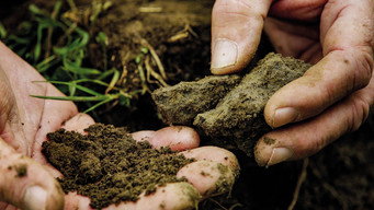 #4 Our Soil is Our Heritage