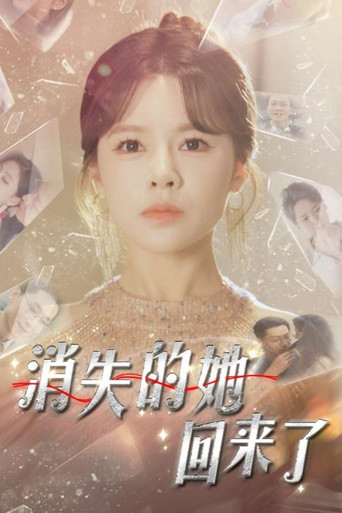 消失的她回来了 poster