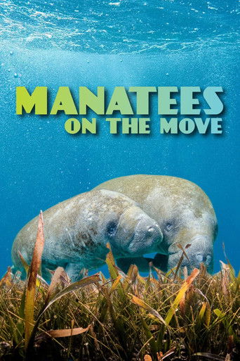 Manatees On The Move (2022年)のポスター画像 - FindKey