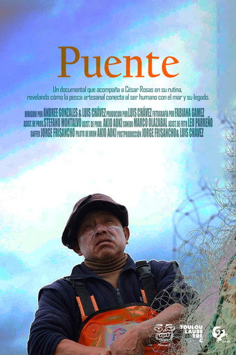 Bridge (2026)